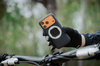 Etui Quadlock MagCase iPhone 17 Pro Max