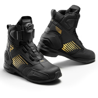 Black/Gold