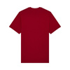 T-Shirt Fox Image Skull Prem Cardinal